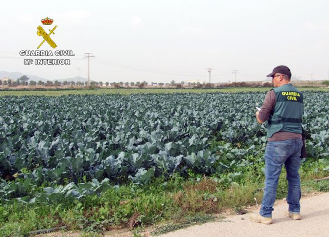 La Guardia Civil investiga en Fuente Álamo al gerente de una explotación agrícola por delito contra el derecho de los trabajadores