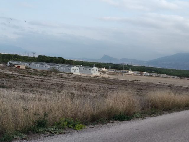 Ecologistas en Acción presenta alegaciones a dos nuevas ampliaciones de macrogranjas en Fuente Álamo