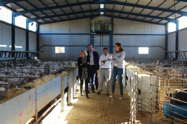 El sector ovino y caprino regional supone el 10,7 por ciento de la producción final ganadera y genera 78 millones de euros