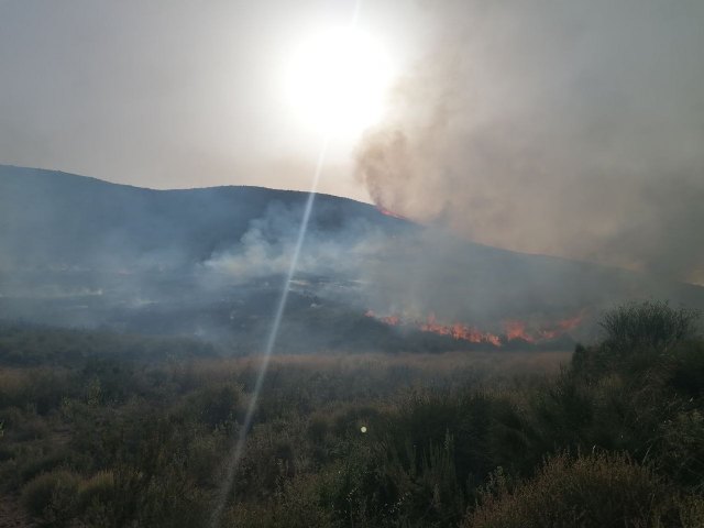 Incendio forestal en Fuente Álamo